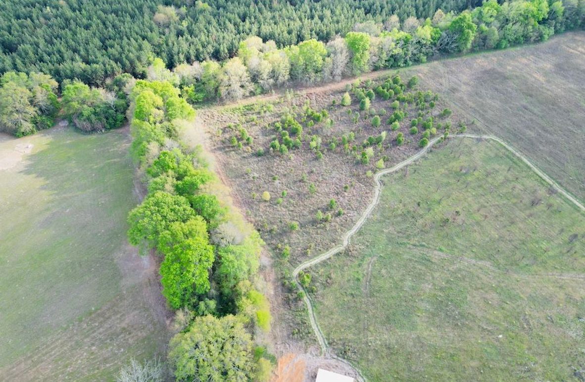 dji_fly_20260329_180544_923_1774823988370_photo