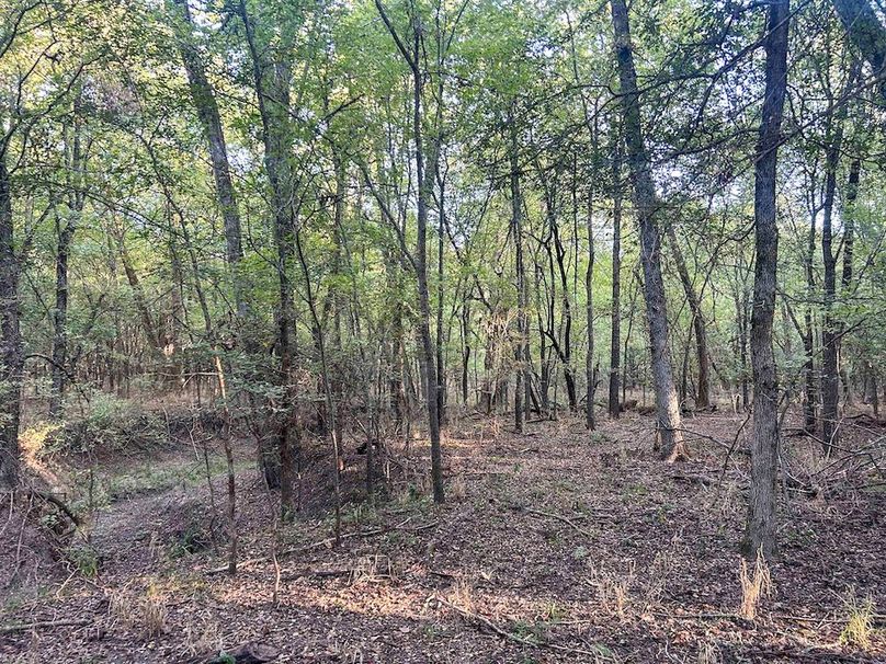 Lamar County- 93 acre reshoot (31 of 38)