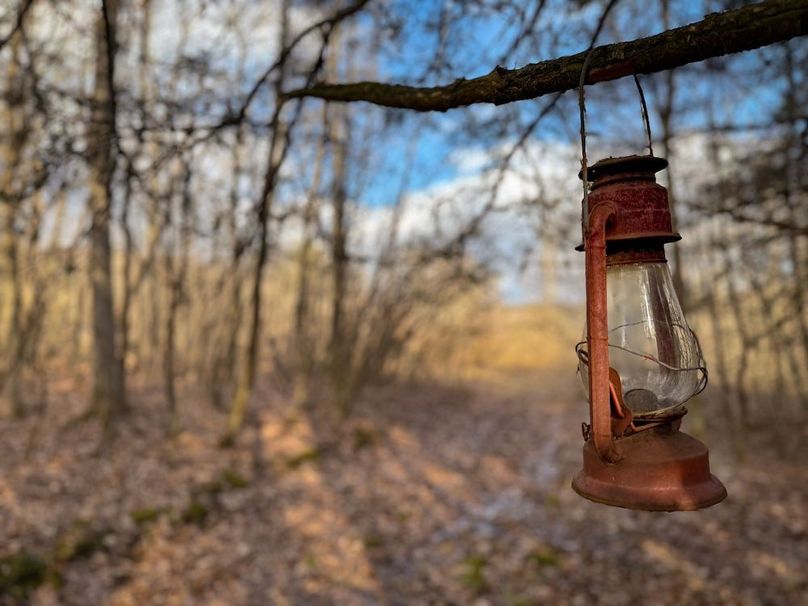 Chemung_59.65_Kocsis_photos_34