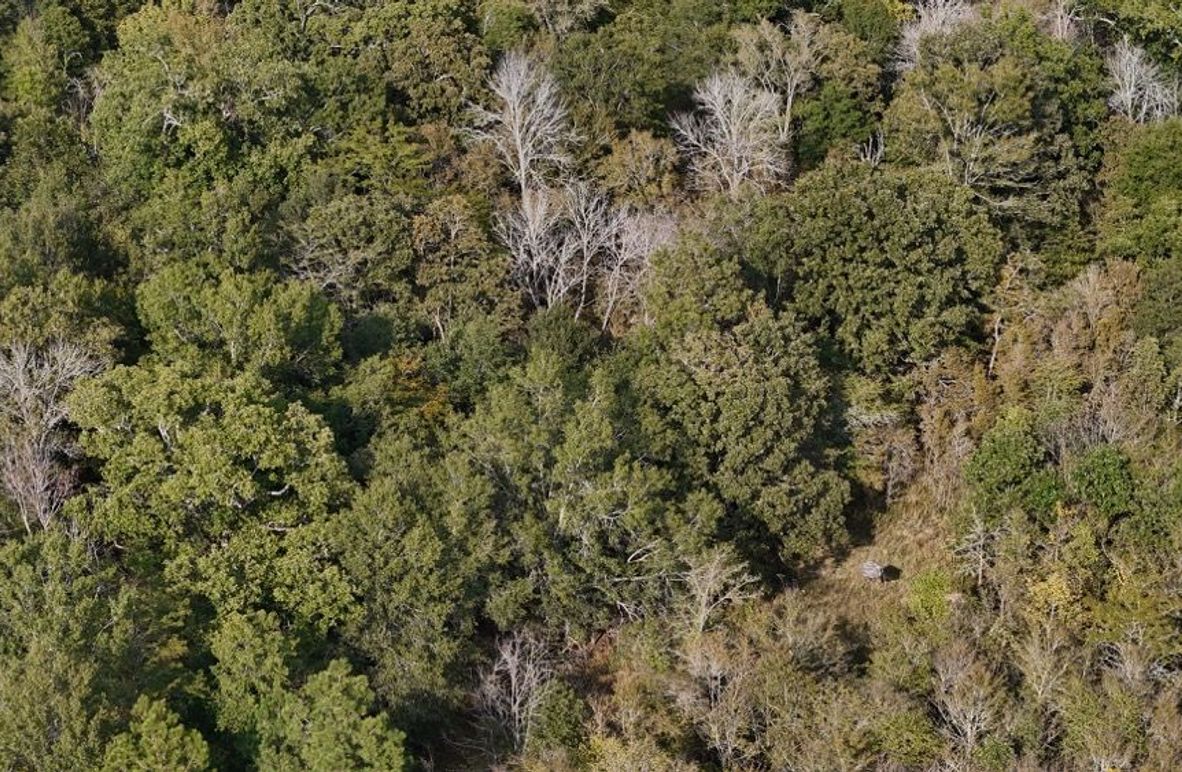 DJI_20250930052913_0763_D