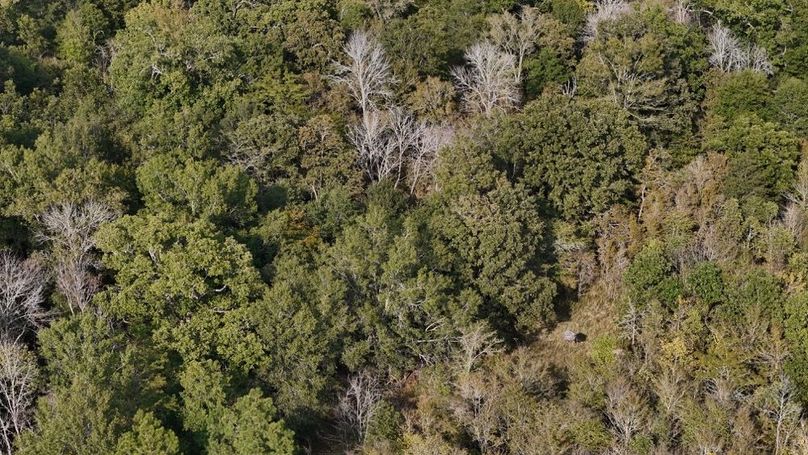 DJI_20250930052913_0763_D