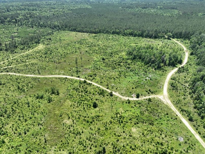 dji_fly_20250522_160104_212_1747959370956_photo