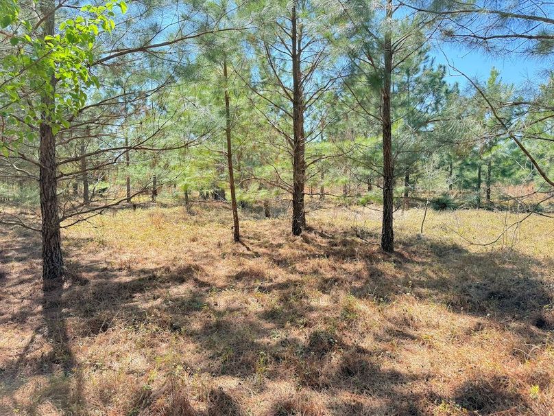 049E71C3-AB29-43CF-8AB8-6D658EEA8182