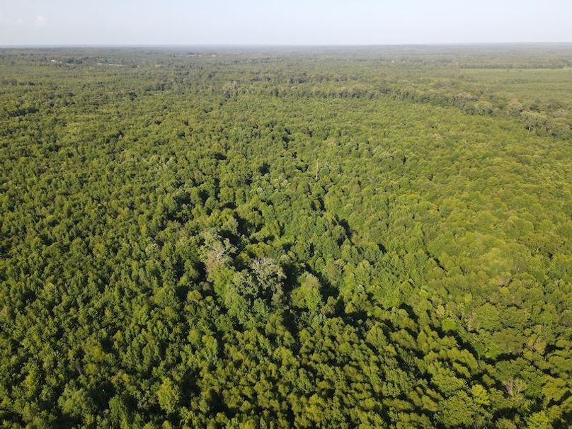 DJI_0404