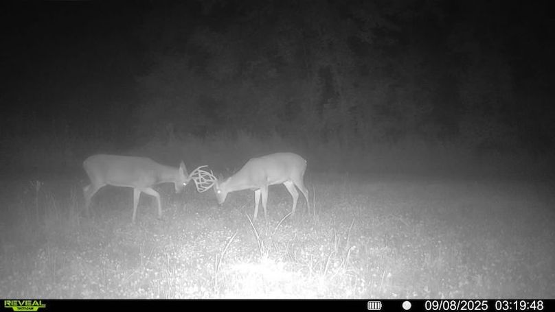 016579007489151-100-4-09082025031948-SYFW00232