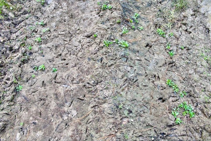 662FCEE4-471F-4A75-AB27-0AEFF7151419_1_201_a