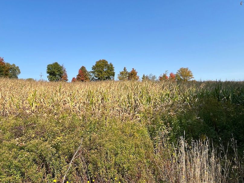 Yates_29_Stape Photo 17