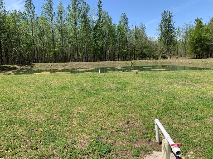 AD622280-096C-4C39-863A-AFFBD9C8A3C5_1_102_o