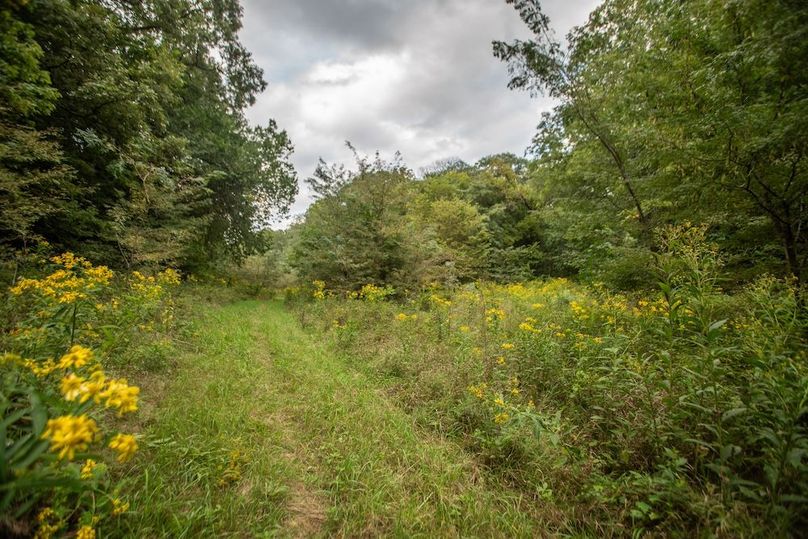 FREMONT CO IA 159.05_58