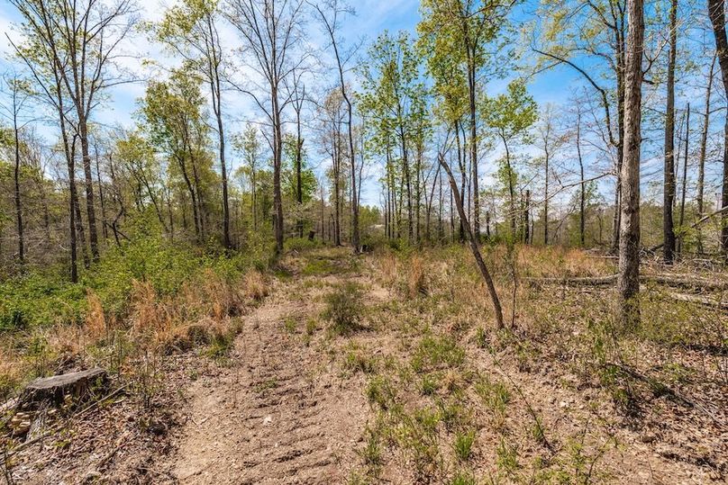 49-web-or-mls-0 Mound Creek Rd-19