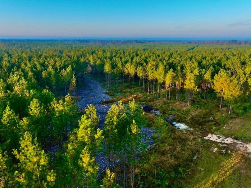 8FF16AD2-CCD7-4BE4-82F7-E0C8F05F890E_1_105_c