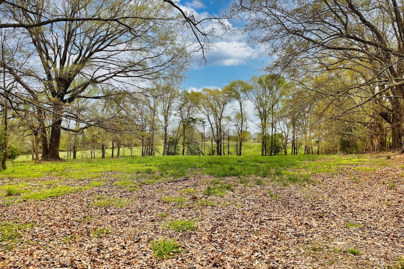 11 Pasture _ Trees 05