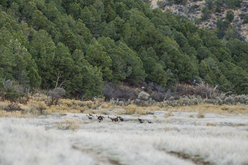 Copy of Copy of Copy of Copy of 14