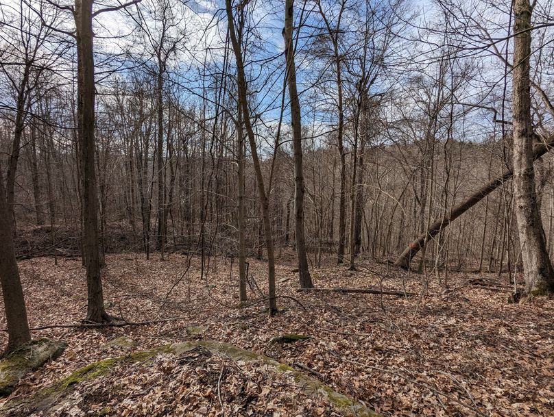 PXL_20230213_162916008