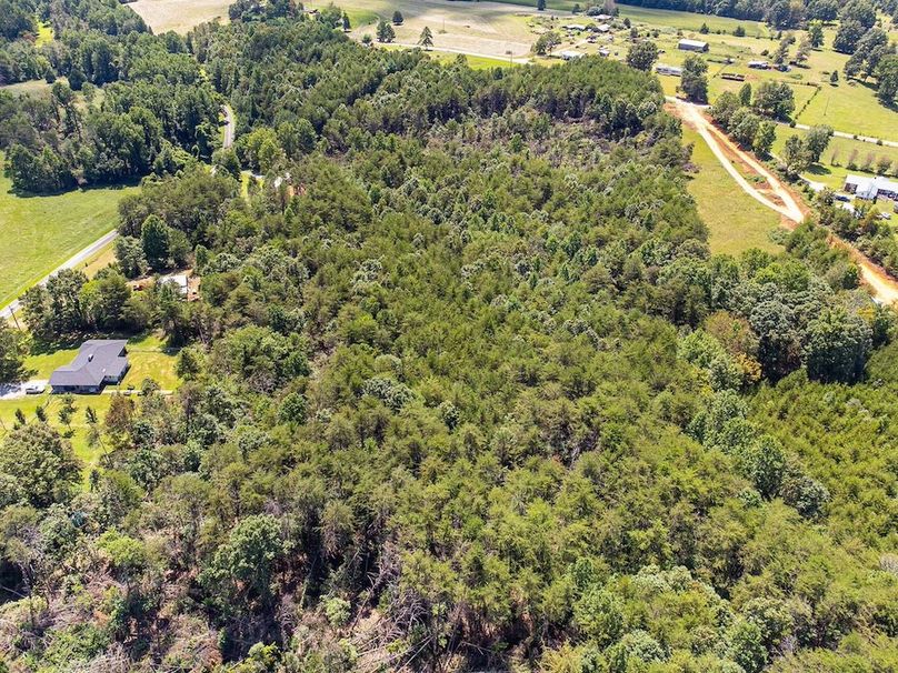 13-web-or-mls-211-luckadoo-rd