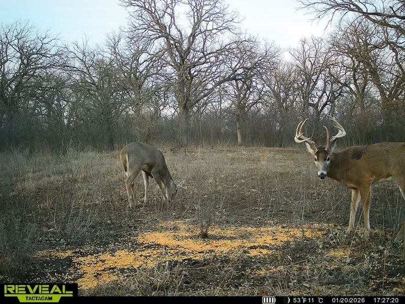 860322064077966-100-3-01202026172739-V-W1012133