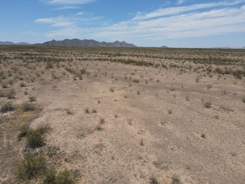 13dji_fly_20240611_125852_606_1718136015637_photo