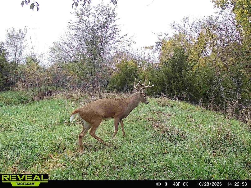 865814040443812-20-2-10282025142252-HD-W1003738