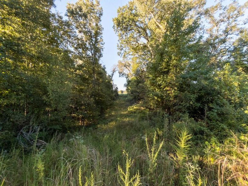 Hinds Co - 78 - Newman-39