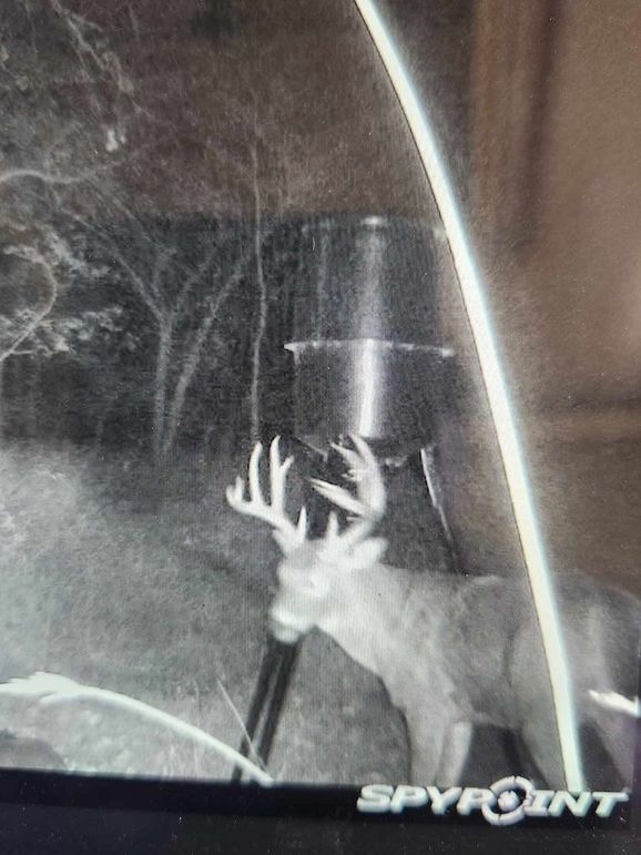 received_4119260091634118