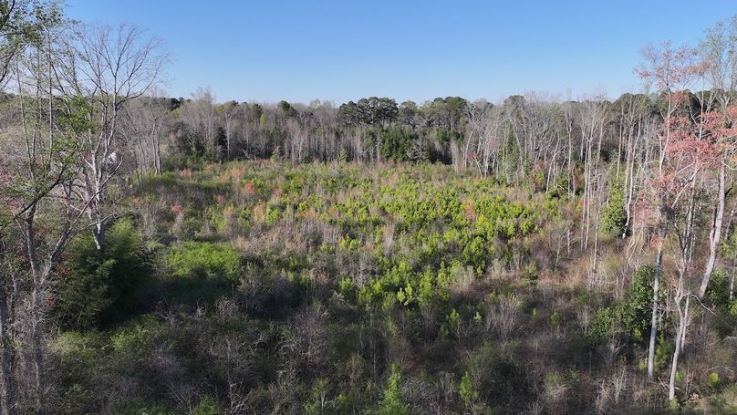 DJI_20240321173631_0068_D