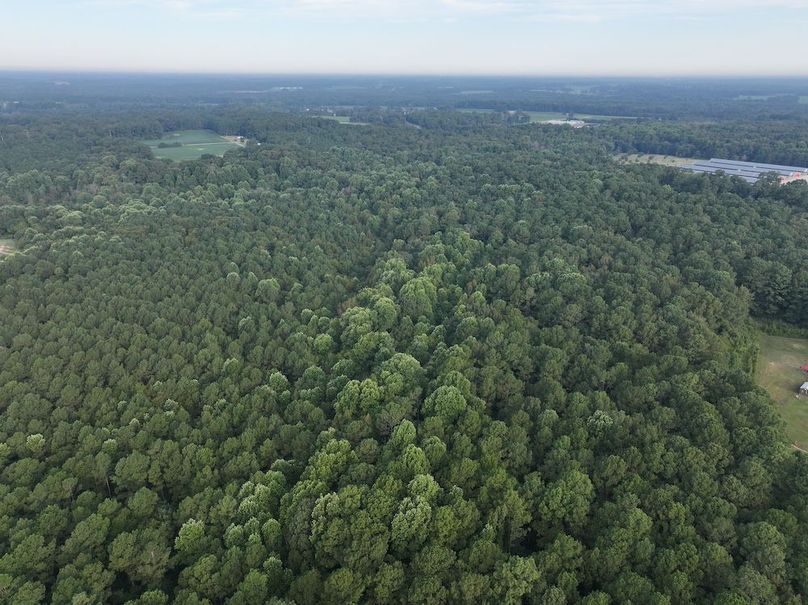 DJI_20250904075318_0021_D