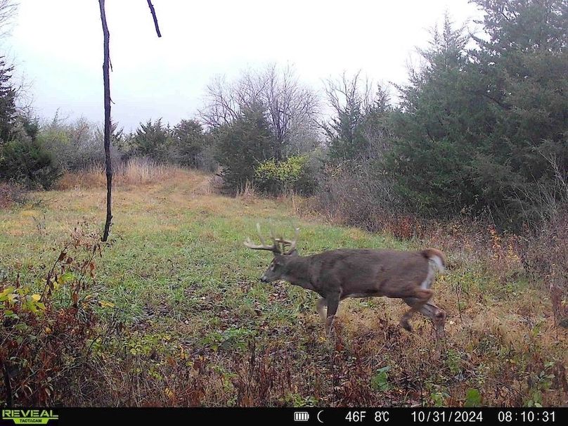 868032067461271-70-4-10312024121252-HD-SYFW1684