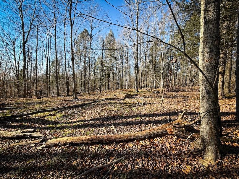 Chemung_31.75_Seymour_North_Photos_21