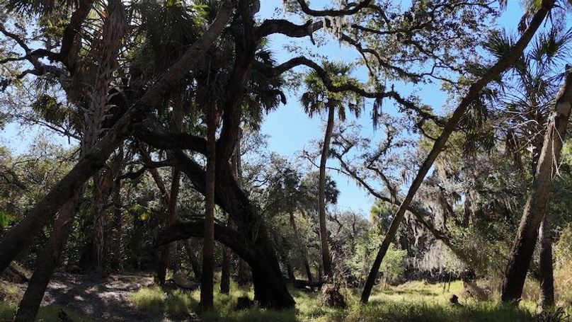 DJI_20260221152435_0364_D