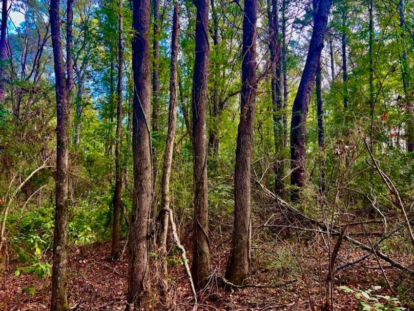 F7FE521A-3467-4A6E-AB76-31EBEC952E72_1_105_c