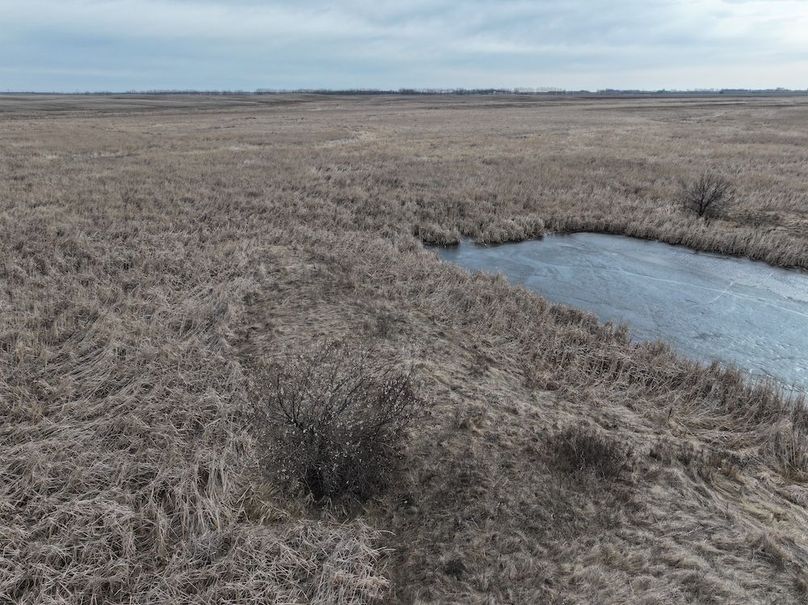 DJI_20260222124737_0030_D