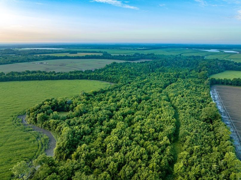 Copy of Noxubee 112.1 +- Tract 1-19