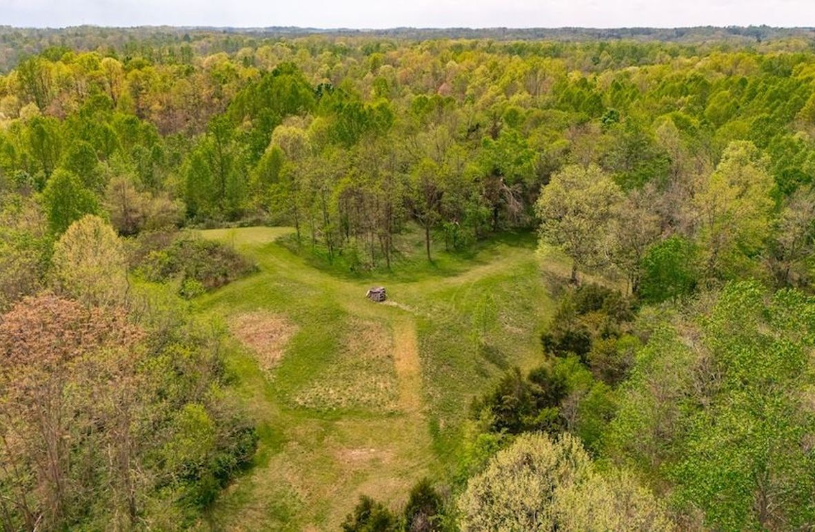 11-web-or-mls-1103 Johnny Spears Rd-16