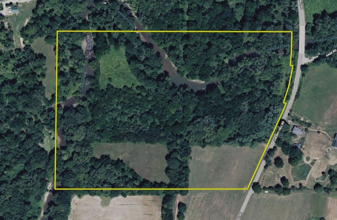 Screen Shot 2026-04-28 at 10.38.17 AM