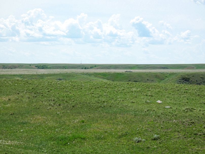 P1030645