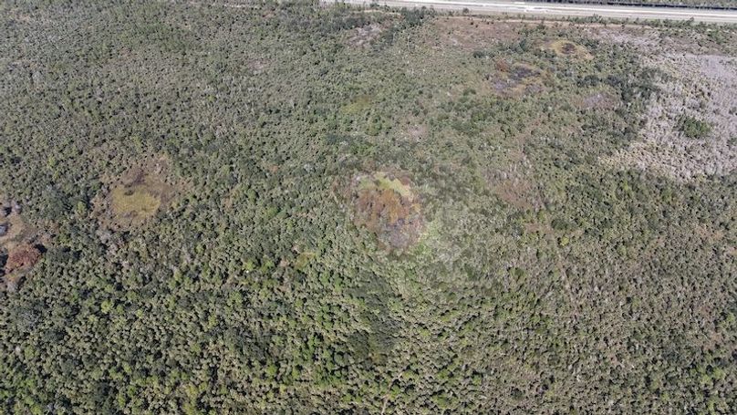 DJI_20251121121541_0010_D