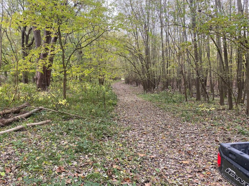 pics from late 2021 and early 2022. New plots being planted in Aug 2023 for new pics (67)