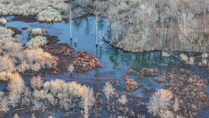 St. Francis 138.5 Calvin Parker Farms Profile -16