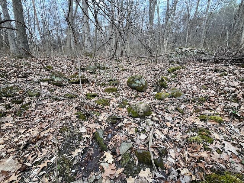 Yates_11.492_Mezer Photo 10