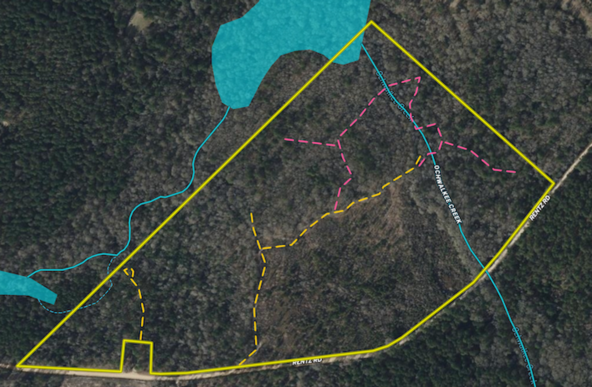 Screenshot 2026-01-12 at 11.01.20 AM