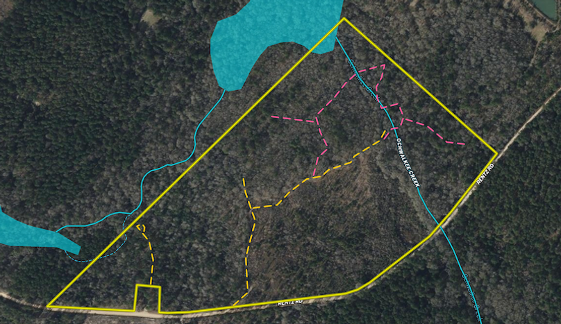 Screenshot 2026-01-12 at 11.01.20 AM