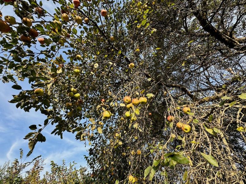 Richland 199Ground - 30