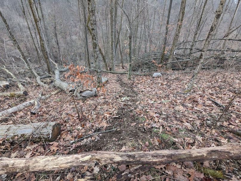 PXL_20240131_165945022