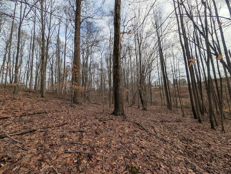 PXL_20260107_181648948.MP