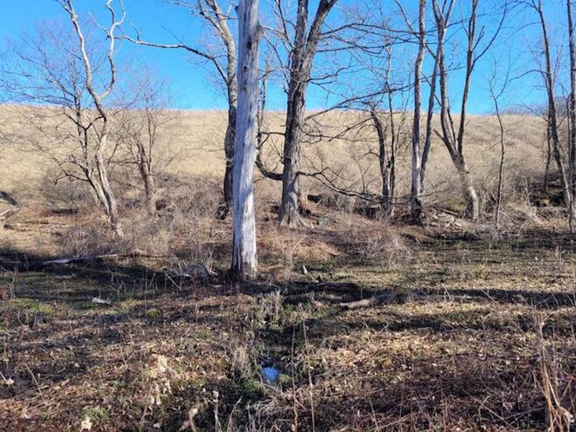 11067406-HG4yPh684nQ1c1jd