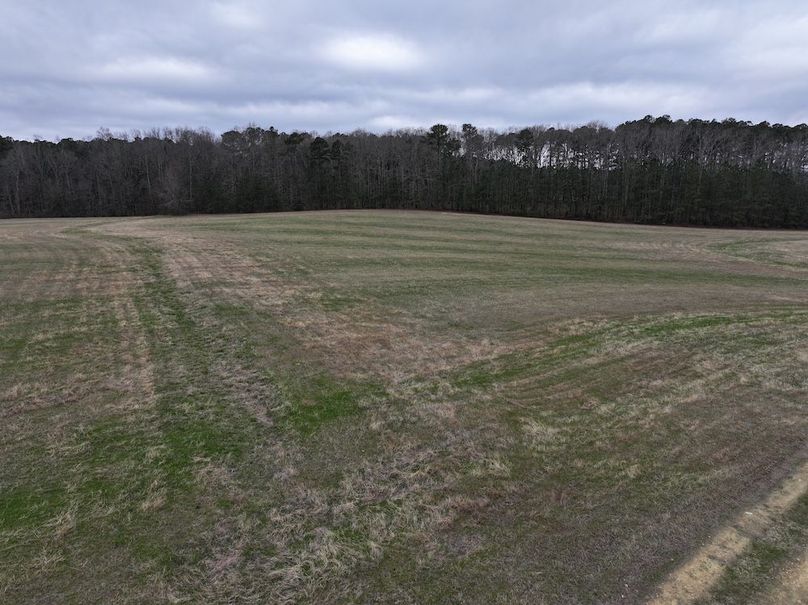 dji_fly_20260219_134754_0571_1772565816200_photo