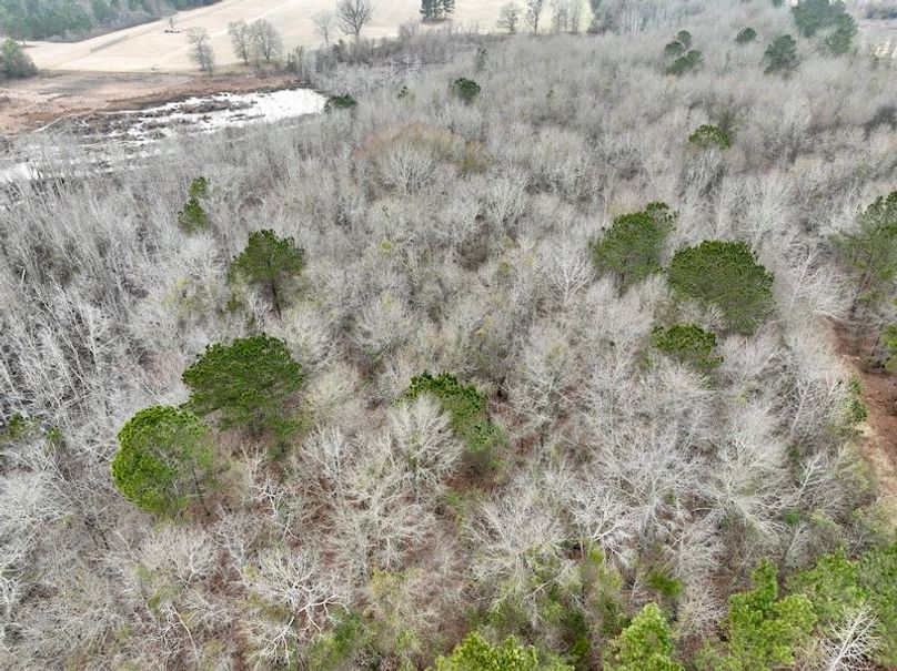 dji_fly_20260210_103922_240_1770738297415_photo