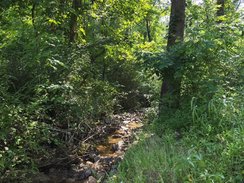 54. Creek (41acres)