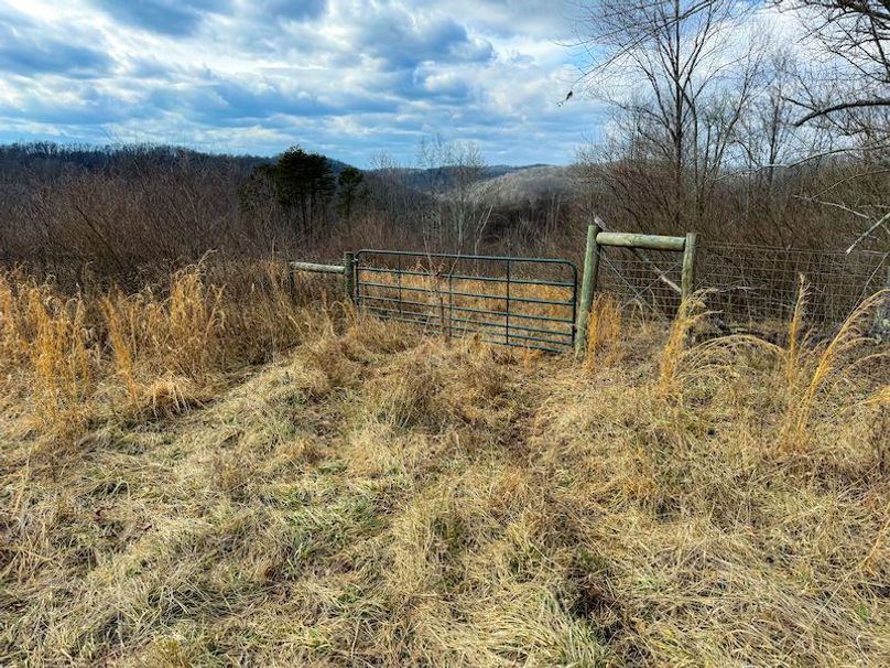 Doddridge, WV 79.08 AC Adams-44