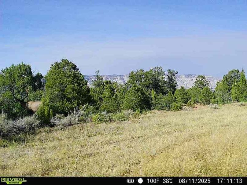 860516060101197-50-2-08112025171112-V-W1000779